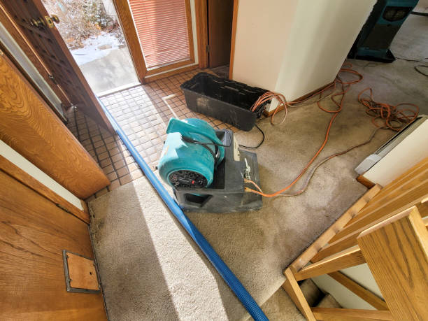 Best Flood damage cleanup  in Hohenwald, TN
