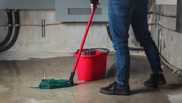 Best Professional water damage repair  in Hohenwald, TN